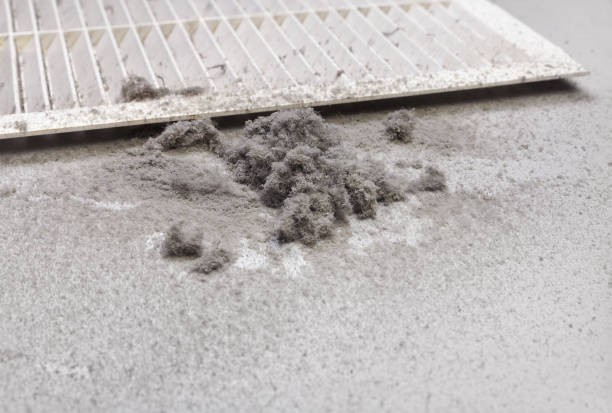 Best Local Air Duct Cleaning Services  in Orangetree, FL