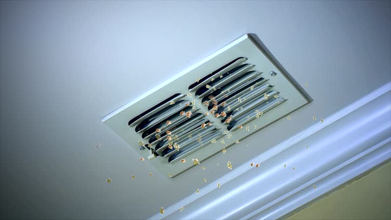Best Best Air Duct Cleaning Company  in Orangetree, FL