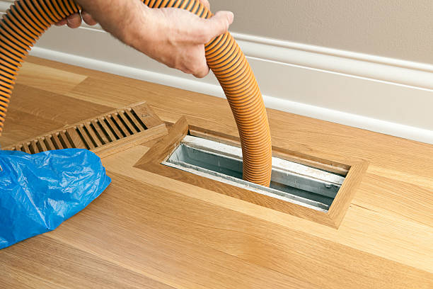 Best Air Quality Test  in Orangetree, FL