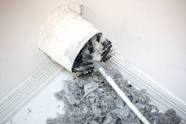 Best Professional Duct Cleaning Services  in Orangetree, FL